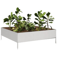 Fioriera Rialzata da Giardino-Vaso da Esterno-Fioriera Elevata 100x100x33,5 cm in Acciaio Inox
