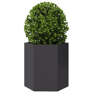 Fioriere da Giardino 2 pz Esagono Nero 46x40x45 cm Acciaio 851109
