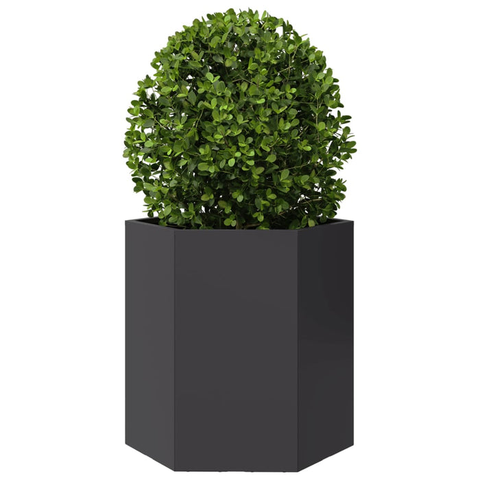 vidaXL Fioriere da Giardino 2 pz Esagono Nero 46x40x45 cm Acciaio