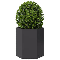 Fioriere da Giardino 2 pz Esagono Nero 46x40x45 cm Acciaio 851109