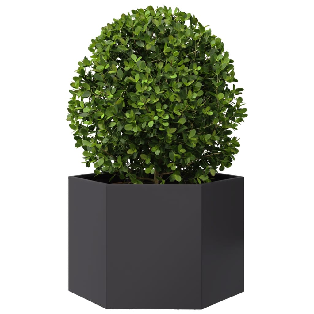 Fioriera da Giardino-Vaso da Esterno-Contenitore per Piante Nera Esagono 69x60x45 cm in Acciaio