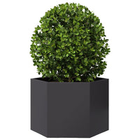 Fioriera da Giardino-Vaso da Esterno-Contenitore per Piante Nera Esagono 69x60x45 cm in Acciaio