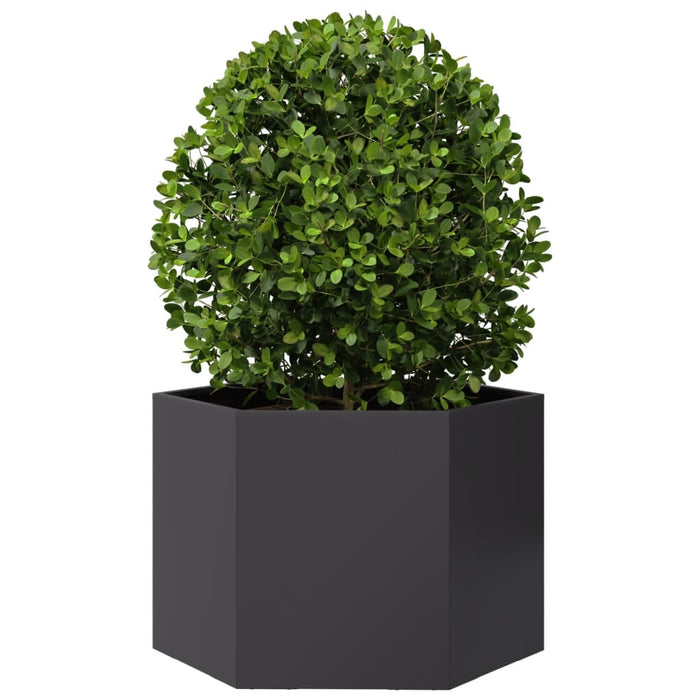 Fioriera da Giardino-Vaso da Esterno-Contenitore per Piante Nera Esagono 69x60x45 cm in Acciaio