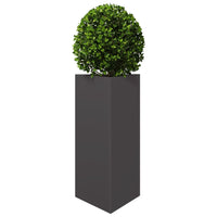 Fioriera da Giardino-Vaso da Esterno-Contenitore per Piante Nera Triangolare 40x34,5x70 cm in Acciaio
