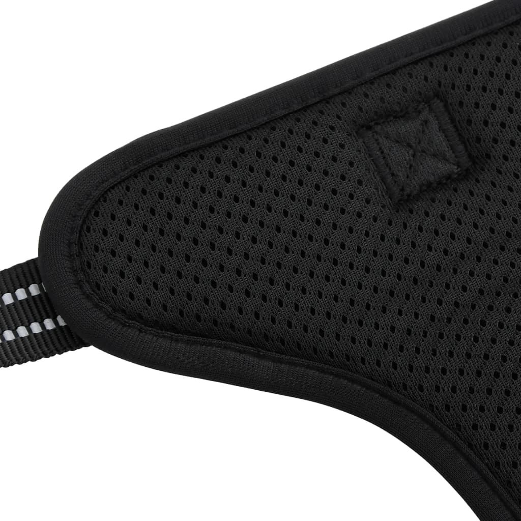 Pettorina per cani con guinzaglio e collare regolabile S Nero 02_0042331