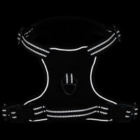 Pettorina per Cani con Guinzaglio e Collare Regolabile Nero L