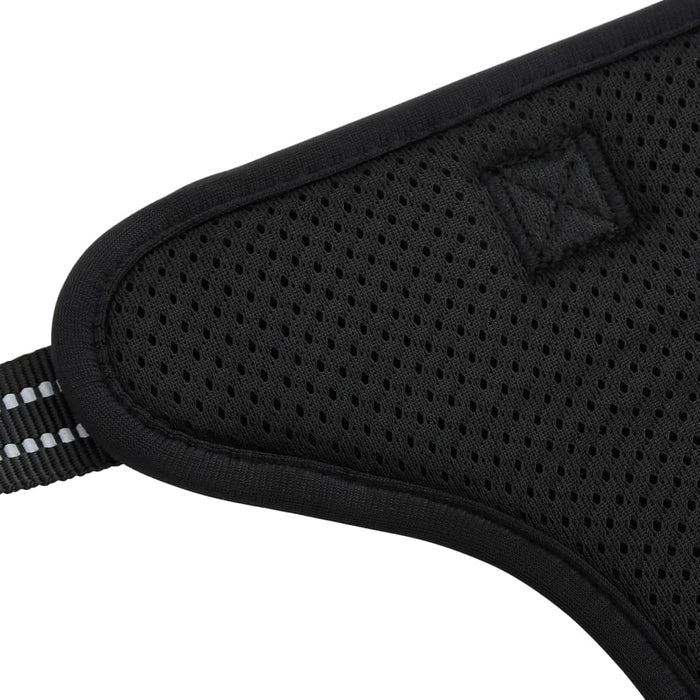 Pettorina per Cani con Guinzaglio e Collare Regolabile Nero L