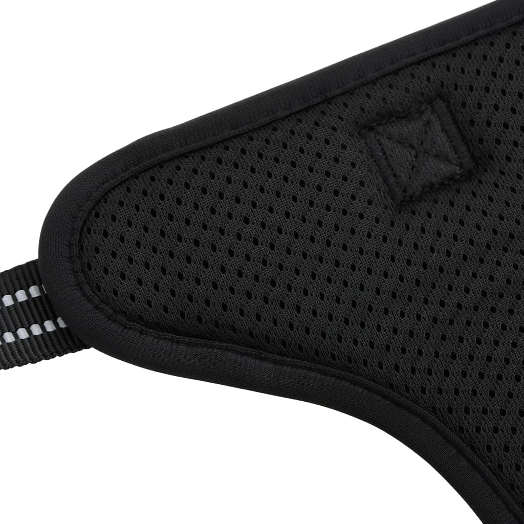 Pettorina per cani con guinzaglio e collare regolabili x L Nero 02_0042336