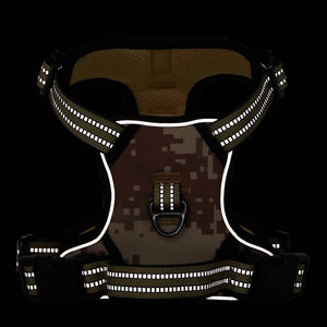 Pettorina Cani Guinzaglio Collare Regolabile Marrone XL 4013398