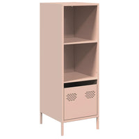 Credenza-Buffet-Armadio da cucina Rosa 35x39x103,5 cm in Acciaio