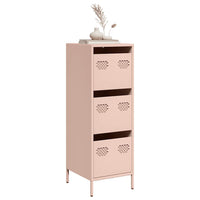 Credenza-Buffet-Armadio da cucina Rosa 39x35x103,5 cm in Acciaio