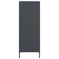 Credenza-Buffet-Armadio da cucina Antracite 39x35x103,5 cm Acciaio