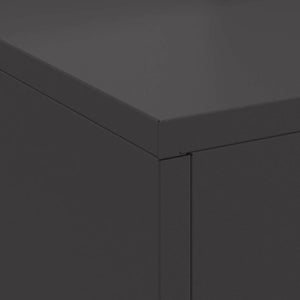Focolare Nero 60 x 40 x 96 cm Acciaio laminato a freddo 858934