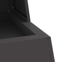 Focolare Nero 60 x 35 x 100 cm Acciaio laminato a freddo 858938