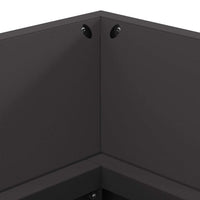 Focolare Nero 160 x 45 x 35 cm Acciaio laminato a freddo 859002