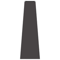 Focolare Nero 50 x 35 x 100 cm Acciaio 859004