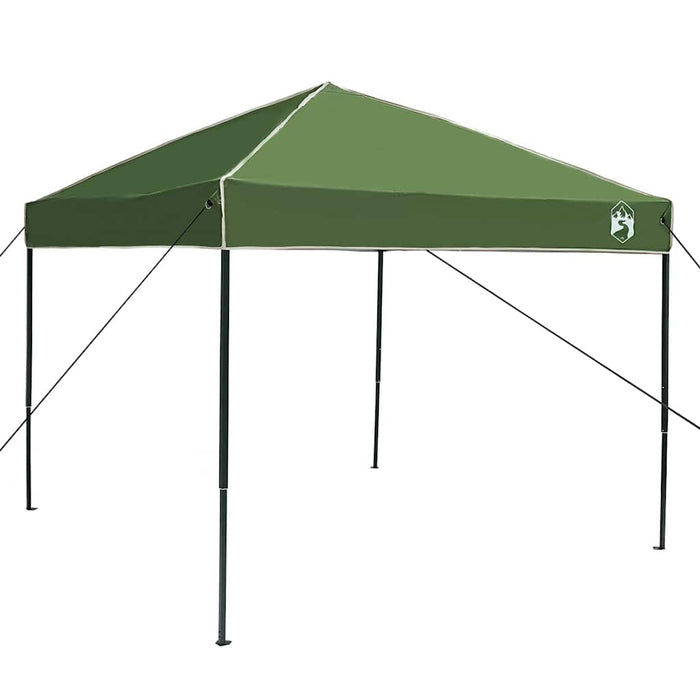 vidaXL Tenda Aggiuntiva Pop-Up Verde 250 x 250 cm Tessuto