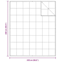 Quilt e Piumini Bianco 240 x 220 cm Piume 42007672