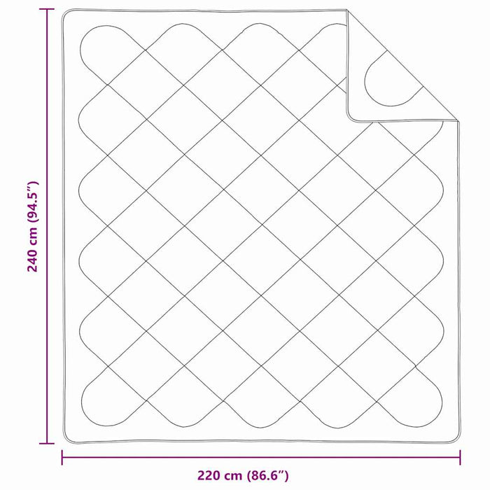 Piumoni e Piumini Bianco 240 x 220 cm Microfibra 42007766