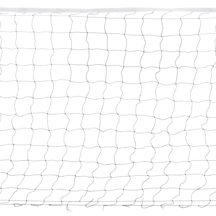 Set da Badminton con 4 Racchette e Rete 620x151 cm