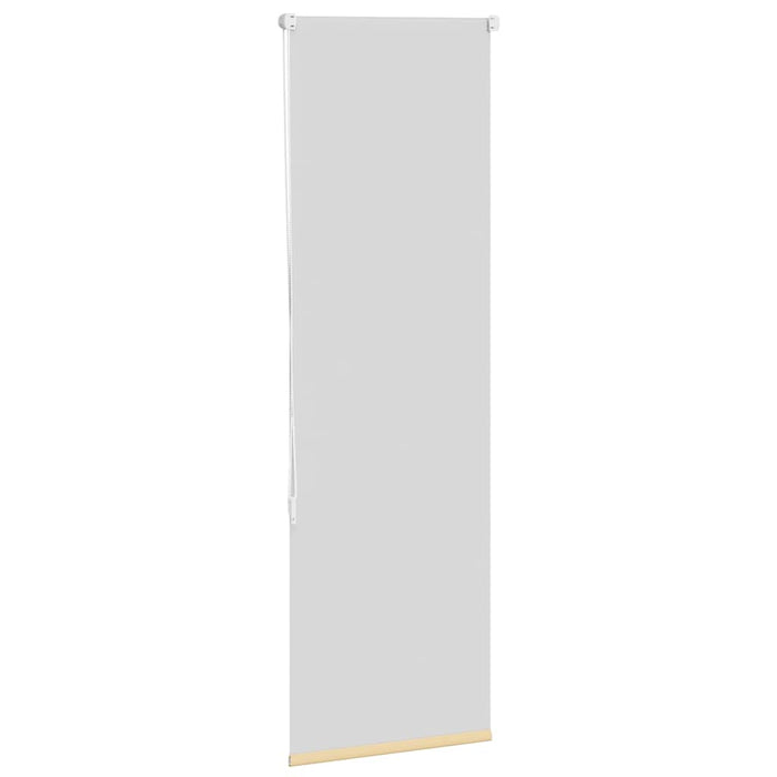 Tenda a Rullo Oscurante 40x175 cm Larghezza Tessuto 35,7 cm 4010752