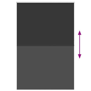 Tenda a Rullo Oscurante 160x210 cm Larghezza Tessuto 156,6 cm 4010932