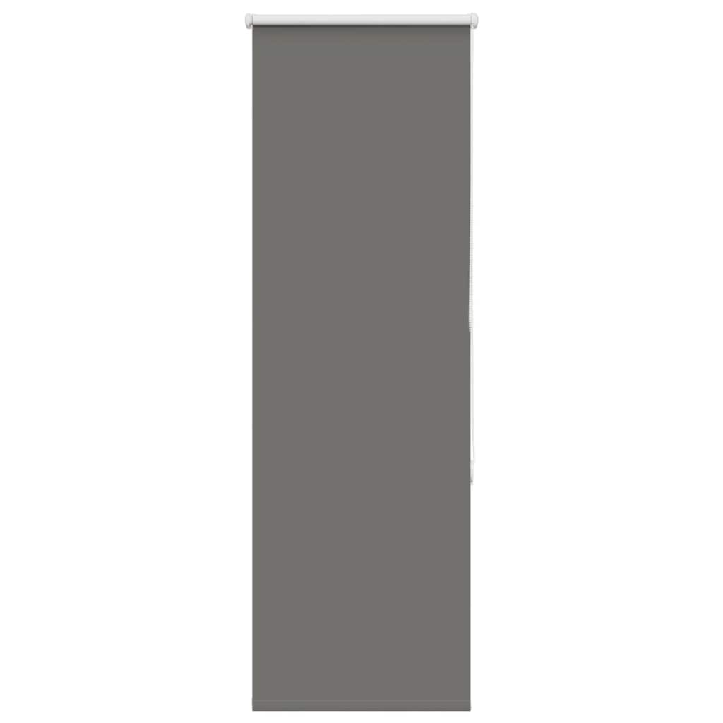 Tenda a Rullo Oscurante 60x130 cm Larghezza Tessuto 55,7 cm 4011094