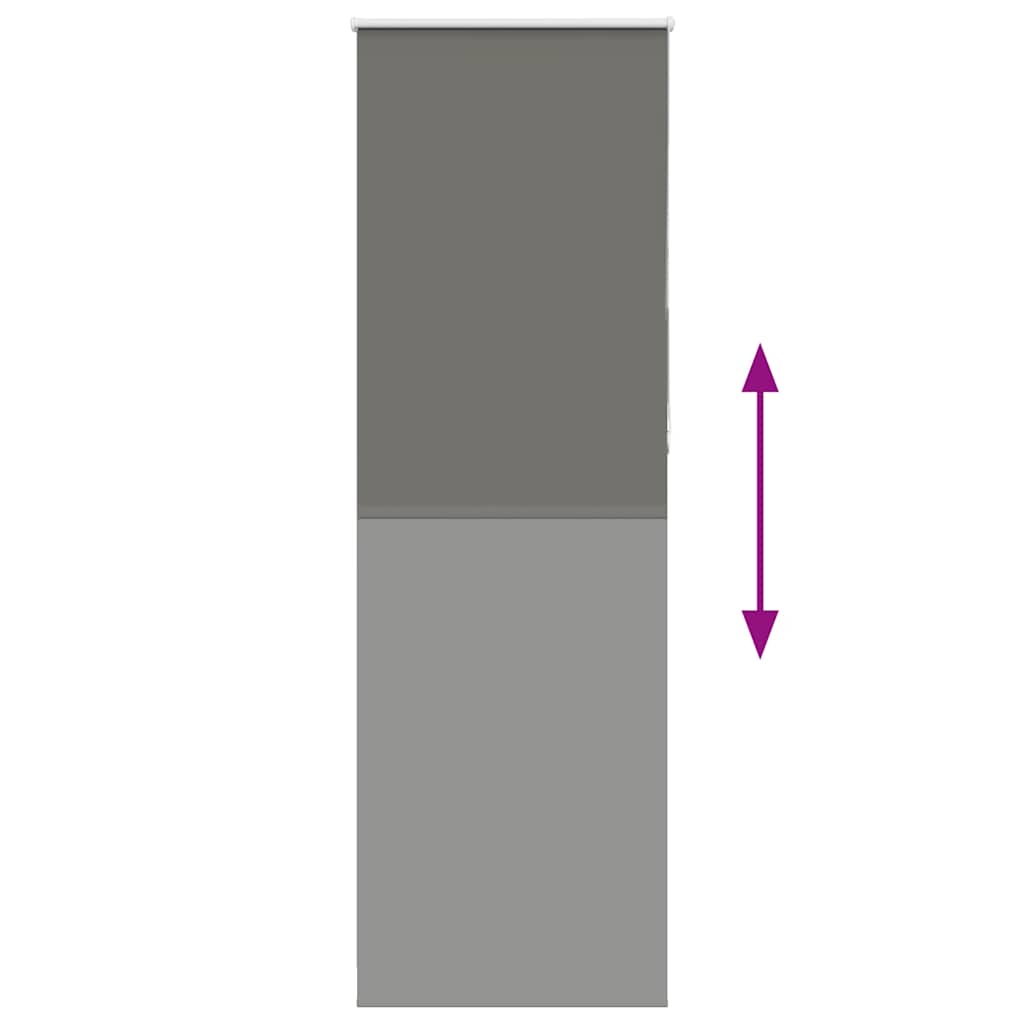 vidaXL Tenda a Rullo Oscurante 65x210 cm Larghezza Tessuto 60,7 cm