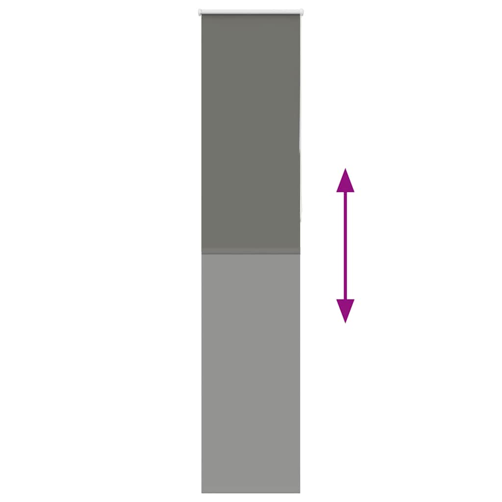 vidaXL Tenda a Rullo Oscurante 60x230 cm Larghezza Tessuto 55,7 cm