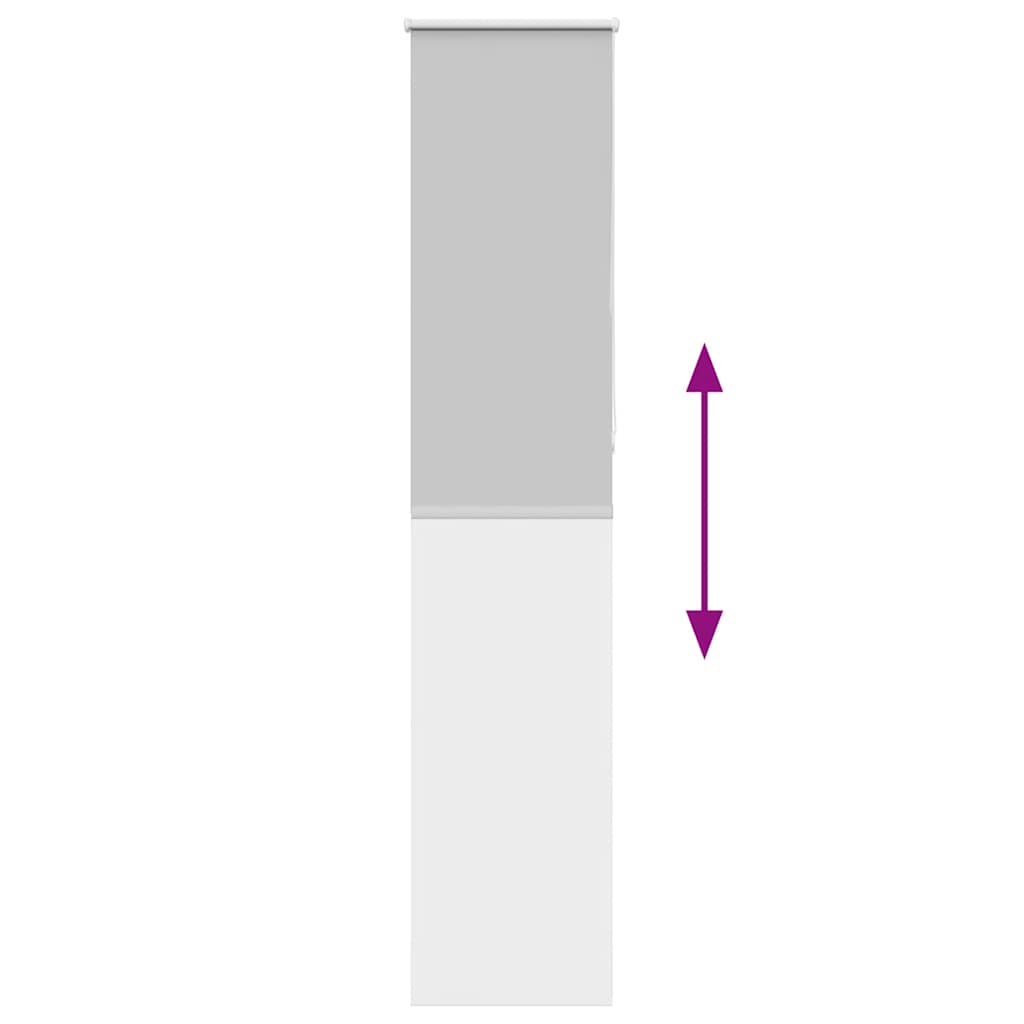 Tenda a Rullo Oscurante 45x210 cm Larghezza Tessuto 40,7 cm 4011429