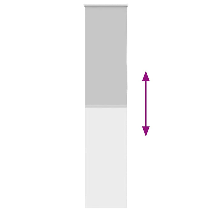 Tenda a Rullo Oscurante 45x210 cm Larghezza Tessuto 40,7 cm 4011429