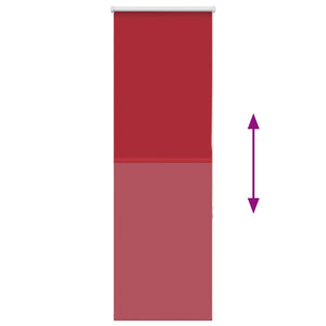 Tenda a Rullo Oscurante 40x150 cm Larghezza Tessuto 35,7 cm 4011766