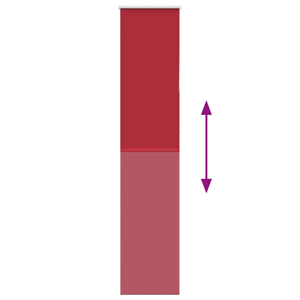 Tenda a Rullo Oscurante 55x210 cm Larghezza Tessuto 50,7 cm 4011821