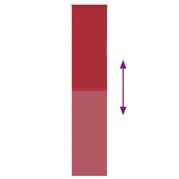 Tenda a Rullo Oscurante 55x210 cm Larghezza Tessuto 50,7 cm 4011821