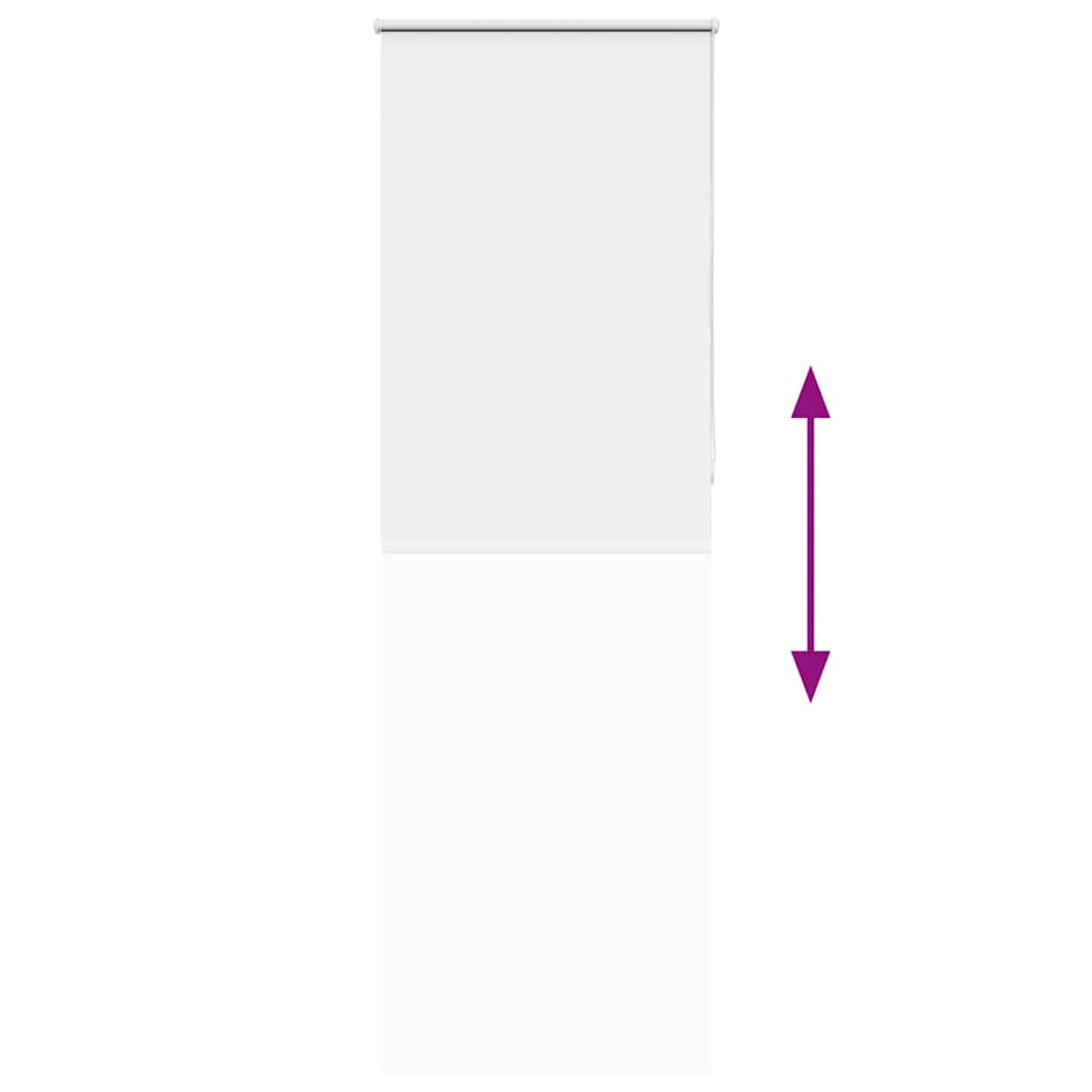 vidaXL Tenda a Rullo Oscurante 65x210 cm Larghezza Tessuto 60,7 cm