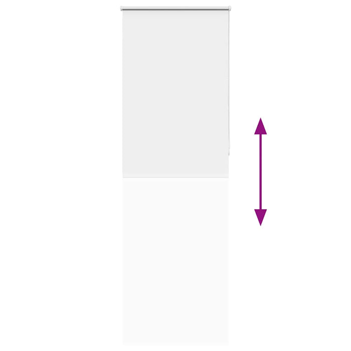 vidaXL Tenda a Rullo Oscurante 65x210 cm Larghezza Tessuto 60,7 cm