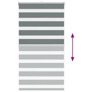 Tenda a Rullo Zebra Larghezza Tessuto 65,9 cm Poliestere 4014125