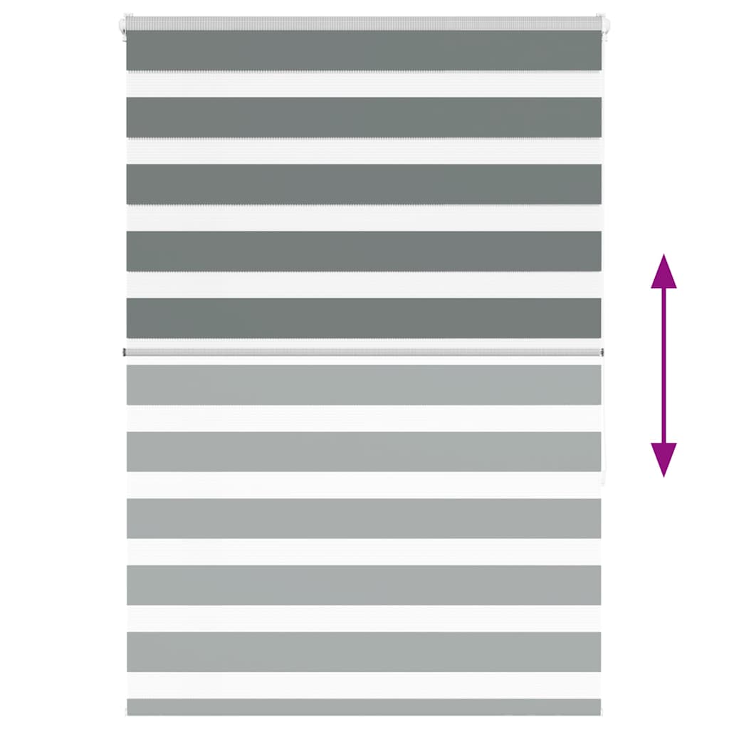 Tenda a Rullo Zebra Larghezza Tessuto 125,9 cm Poliestere 4014137