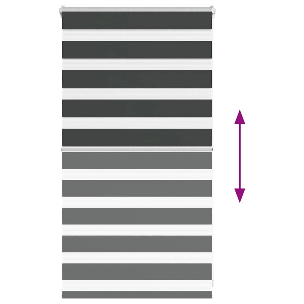 Tenda a Rullo Zebra Nero Larghezza Tessuto 75,9 cm Poliestere 4014205