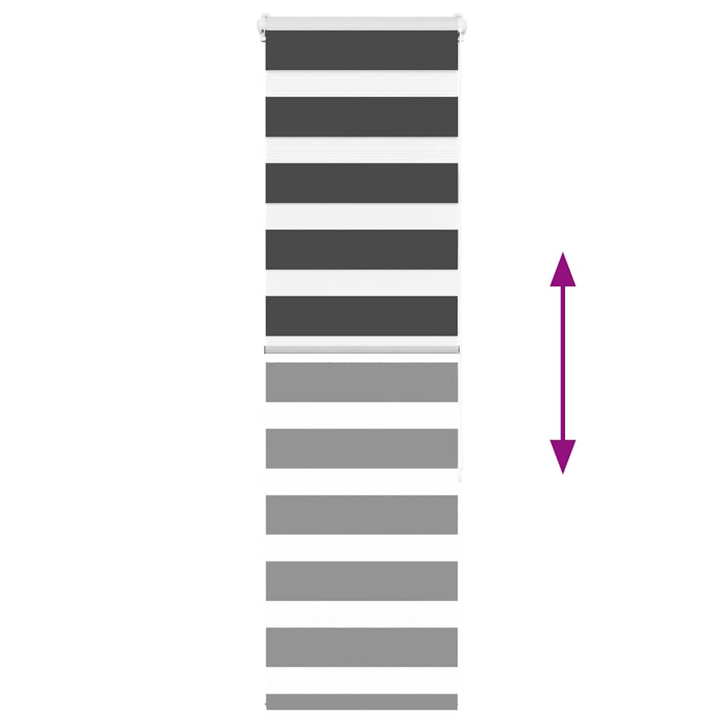 Tenda a Rullo Zebra Nero Larghezza Tessuto 35,9 cm Poliestere 4014223