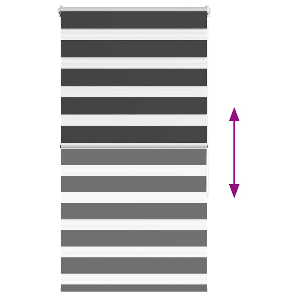 Tenda a Rullo Zebra Nero Larghezza Tessuto 65,9 cm Poliestere 4014229