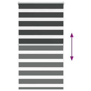 Tenda a Rullo Zebra Nero Larghezza Tessuto 65,9 cm Poliestere 4014229