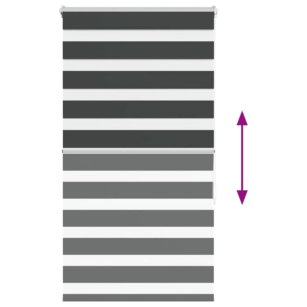 Tenda a Rullo Zebra Nero Larghezza Tessuto 85,9 cm Poliestere