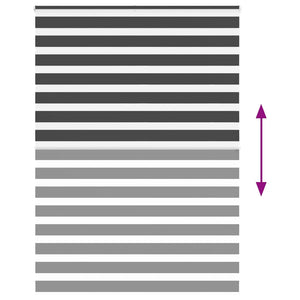 Tenda a Rullo Zebra Nero Larghezza Tessuto 150,9 cm Poliestere