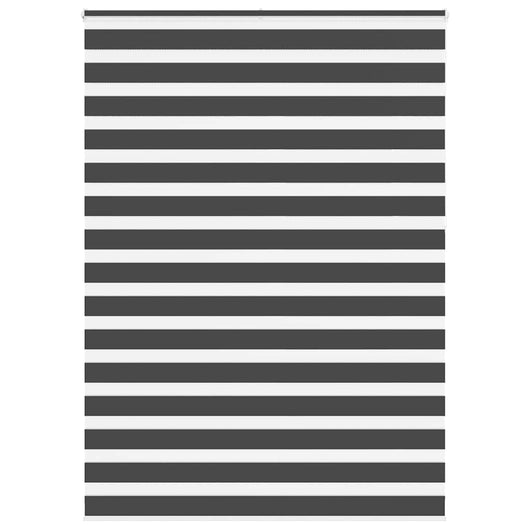 Tenda a Rullo Zebra Nero Larghezza Tessuto 155,9 cm Poliestere