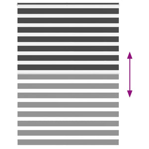 Tenda a Rullo Zebra Nero Larghezza Tessuto 155,9 cm Poliestere