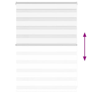 Tenda a Rullo Zebra Larghezza Tessuto 95,9 cm Poliestere 4014729