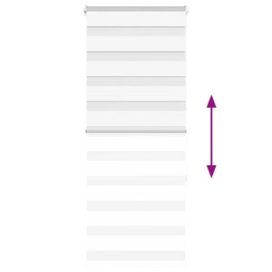 Tenda a Rullo Zebra Larghezza Tessuto 60,9 cm Poliestere