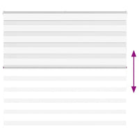 Tenda a Rullo Zebra Larghezza Tessuto 155,9 cm Poliestere 4014767