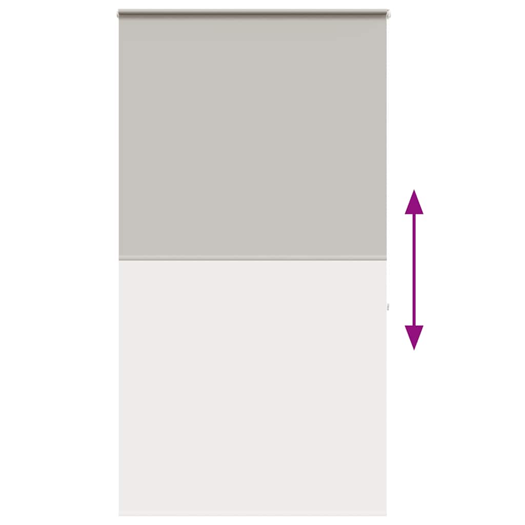 Tenda a Rullo Doccia con Cassonetto 130x240cm Larghezza Tessuto 4014993